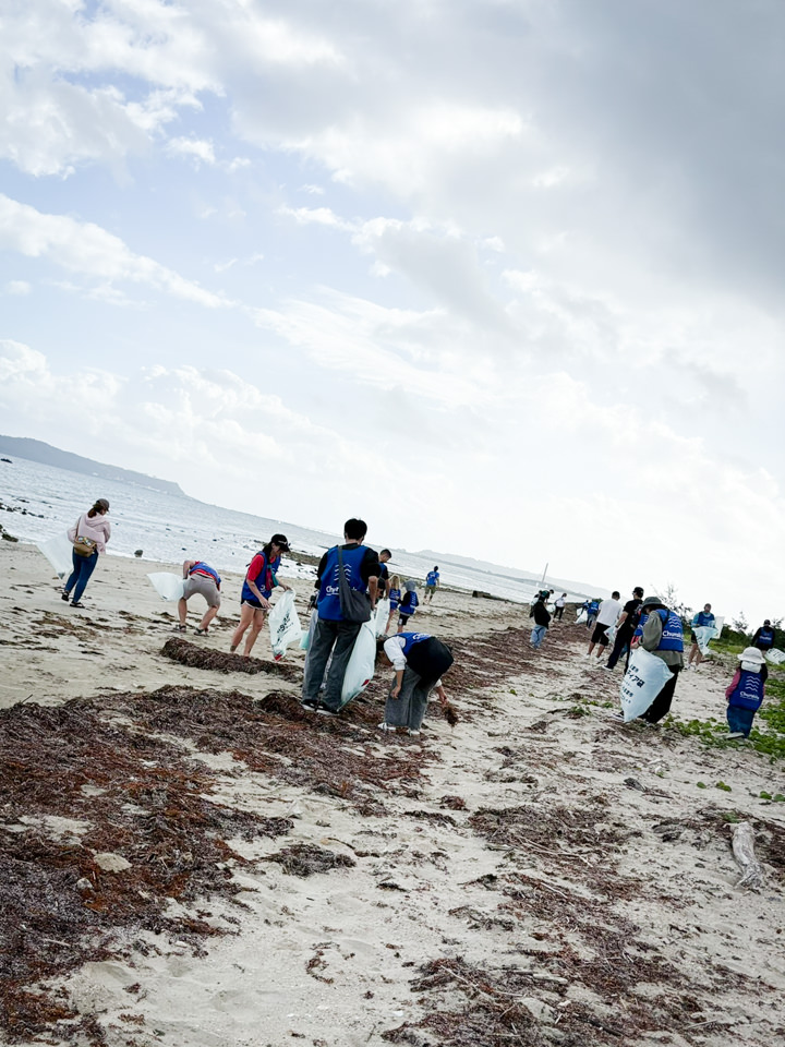 照間ビーチの広い海岸線で清掃活動を行う参加者たち